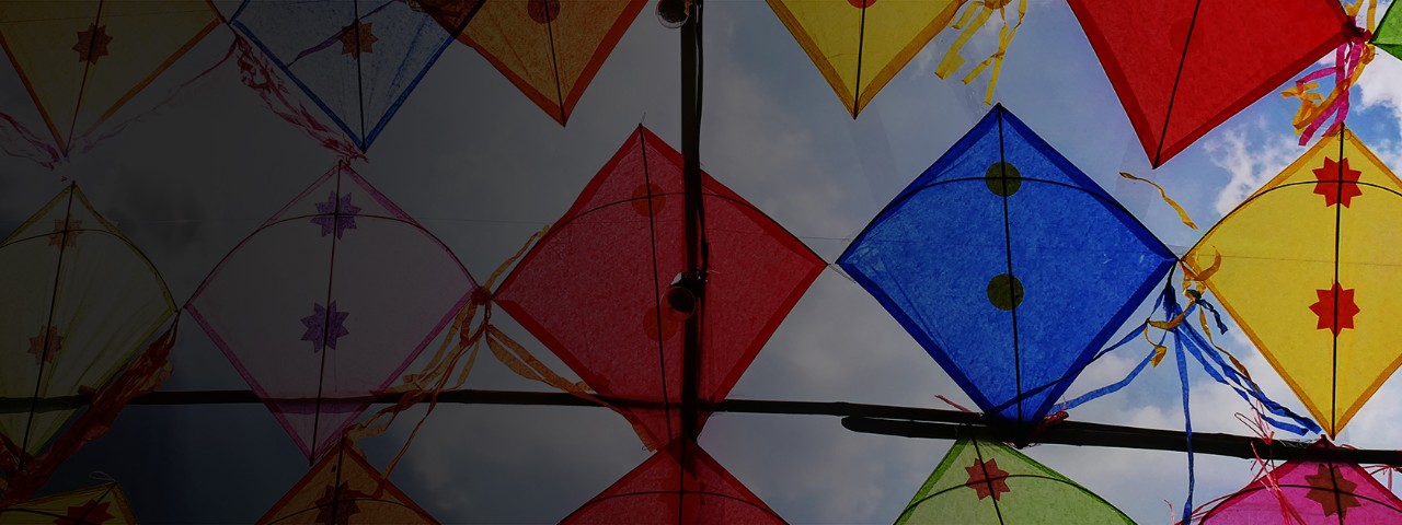 The unusual look opens from height of bird's flight