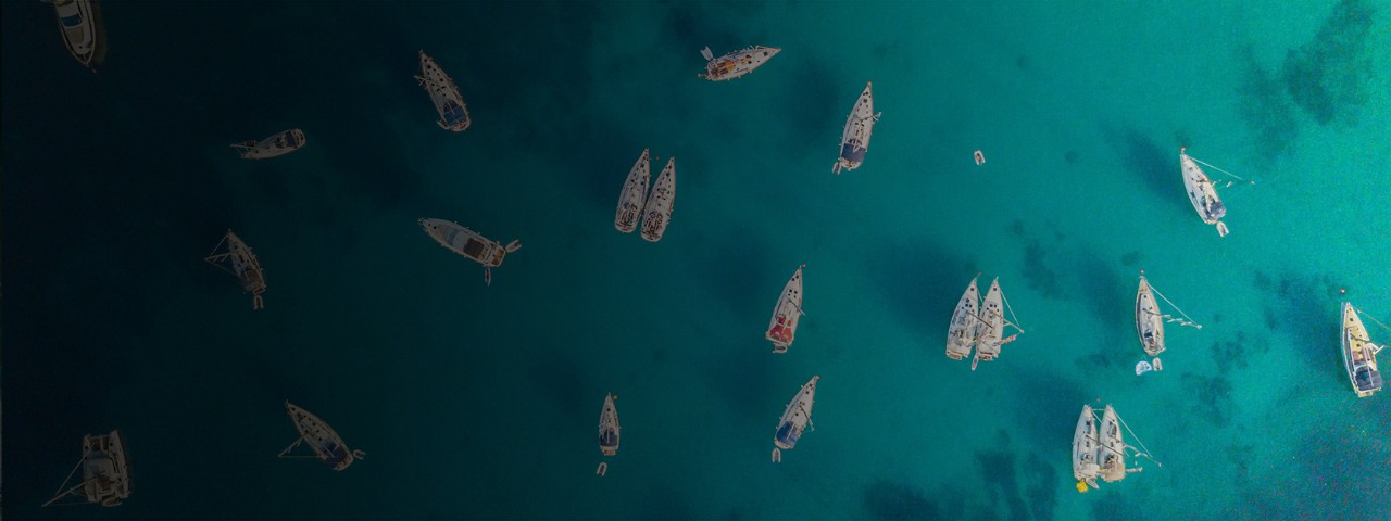 The unusual look opens from height of bird's flight